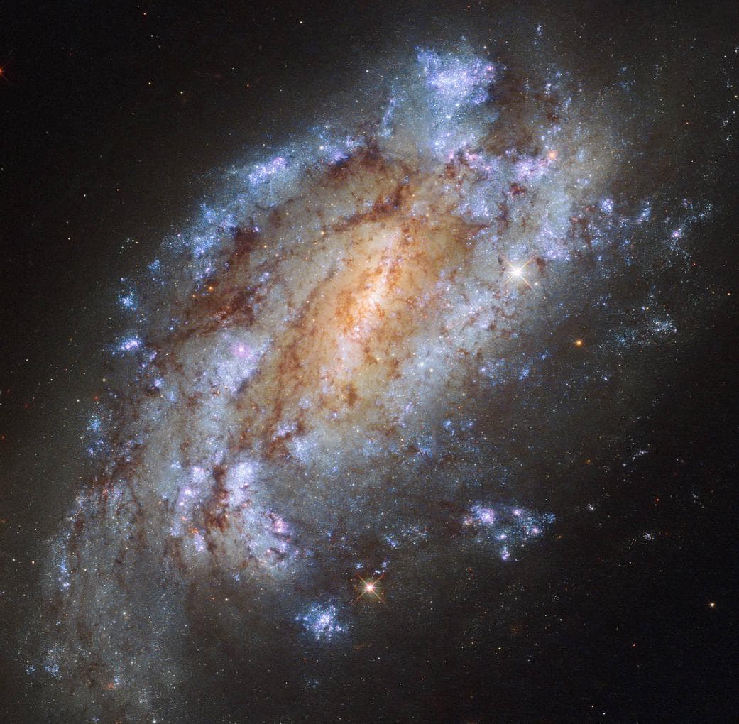 Галактика NGC 1559