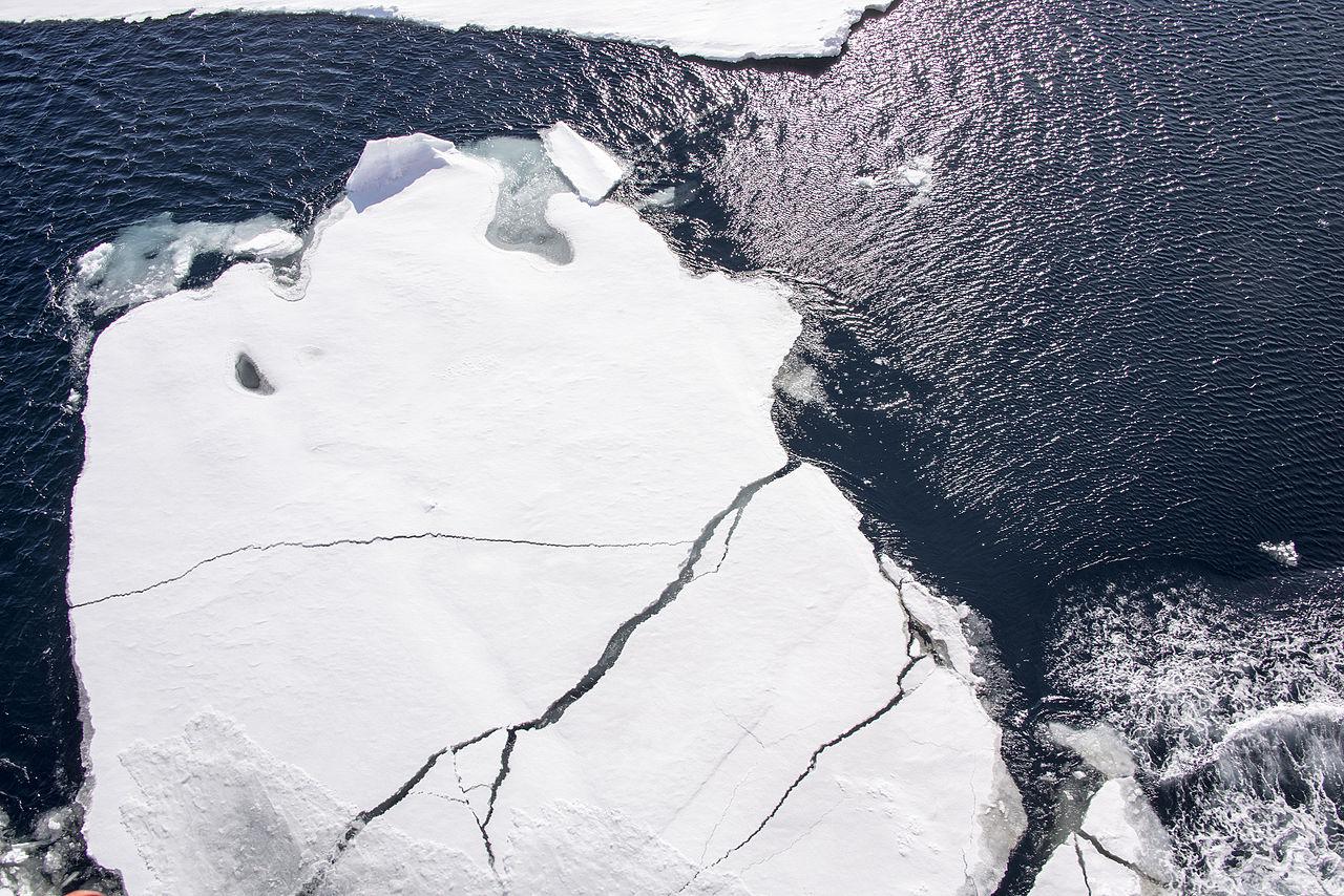 Площадь ледяного покрова Арктики продолжает сокращаться