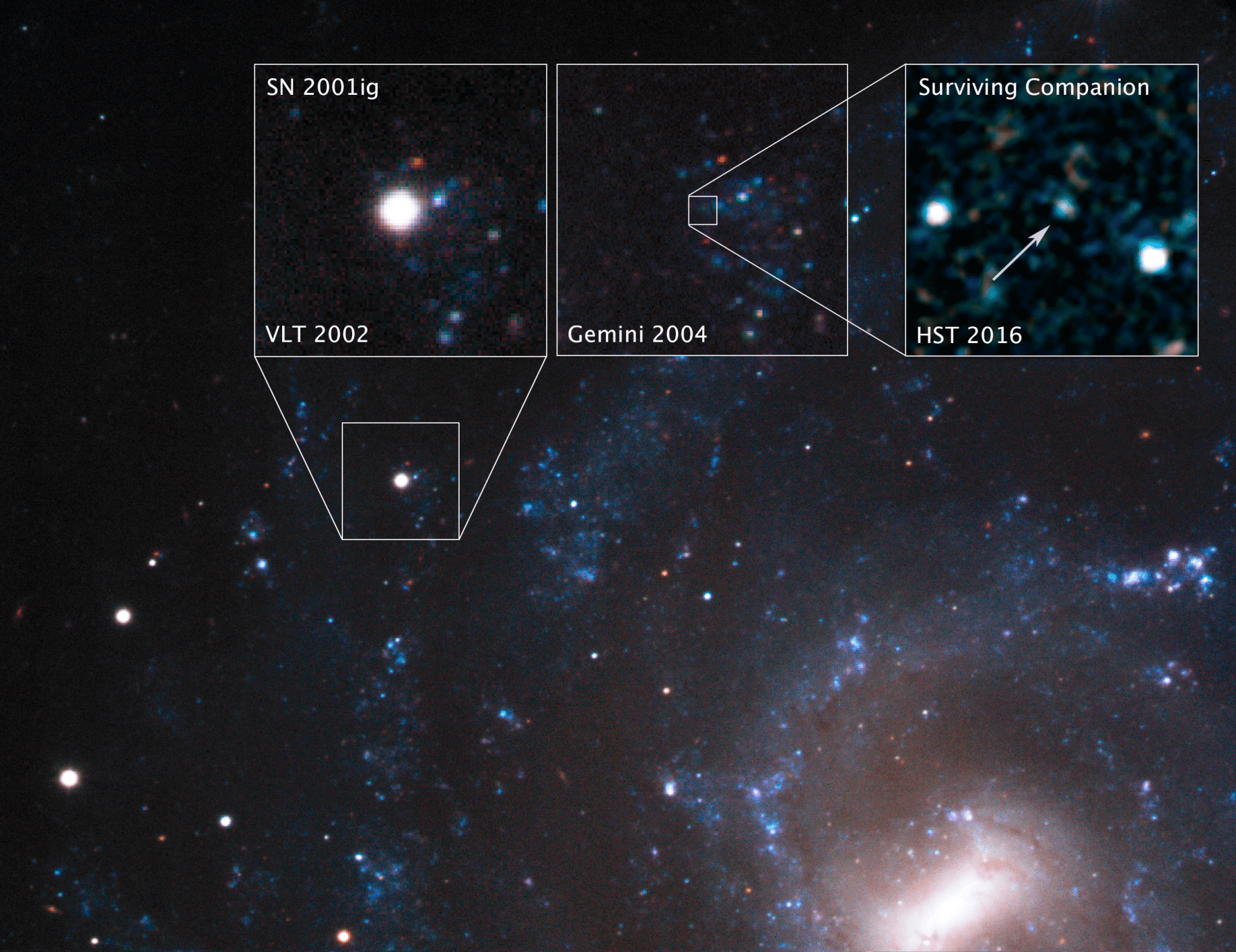 Hubble зазнімкував уцілілого компаньйона наднової зорі