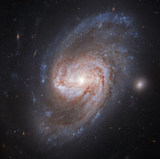 Спіральна галактика NGC 3583