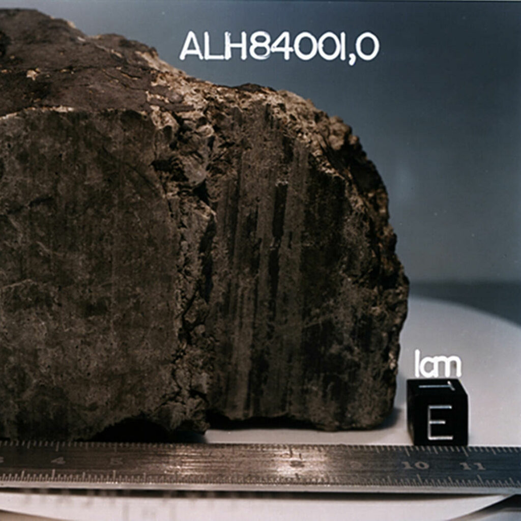 Метеорит ALH84001