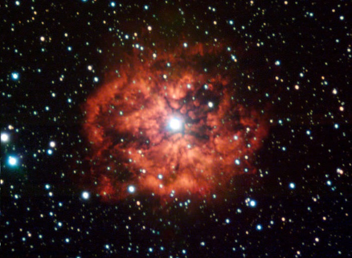 Звезда Вольфа -Райе, возможно вспыхнет как сверхновая