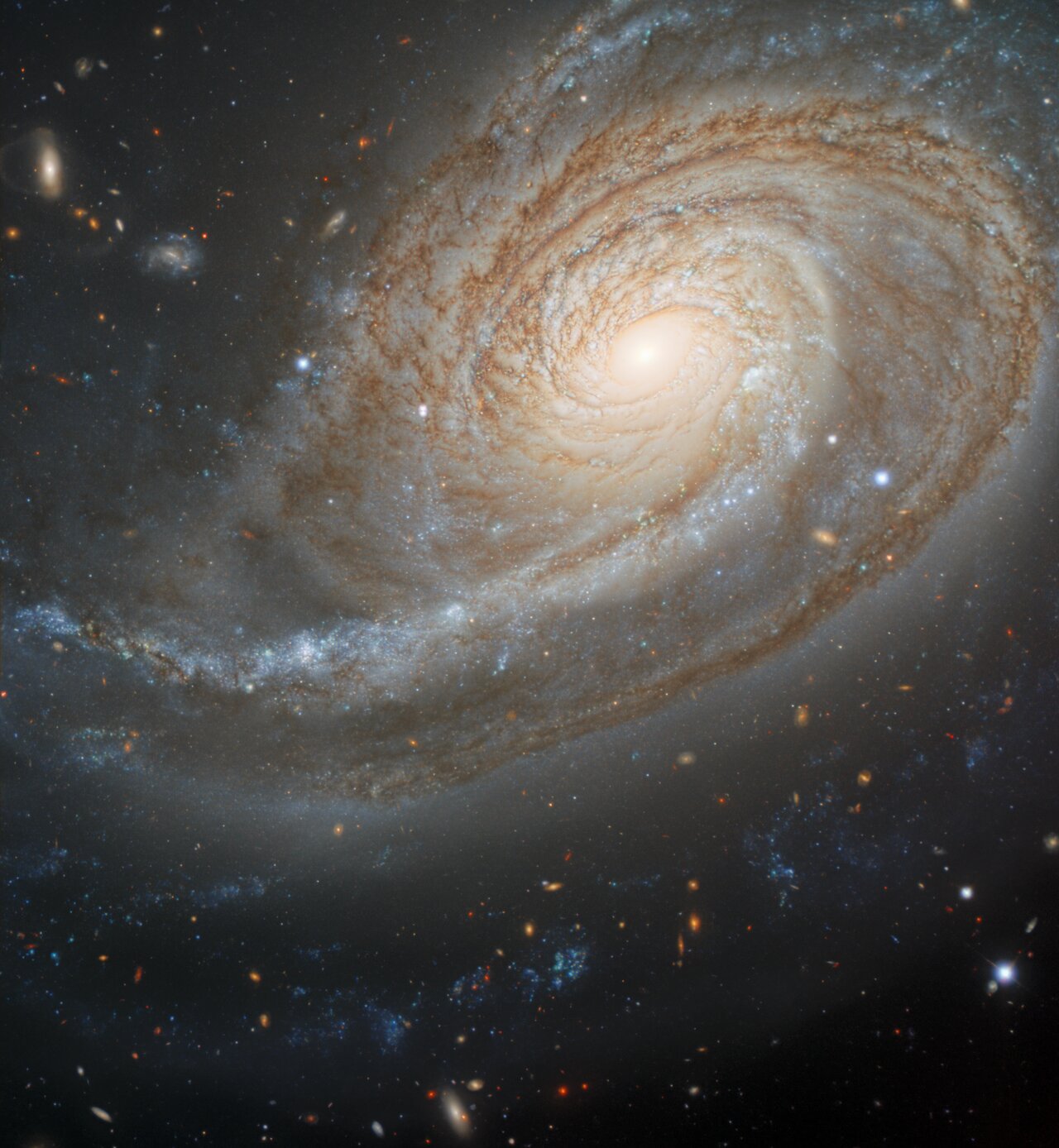 NGC 772: галактика з «розтягнутим» спіральним рукавом