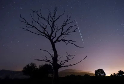 Lyrids Meteor Shower. How and When to Observe the First Spring Falling Stars