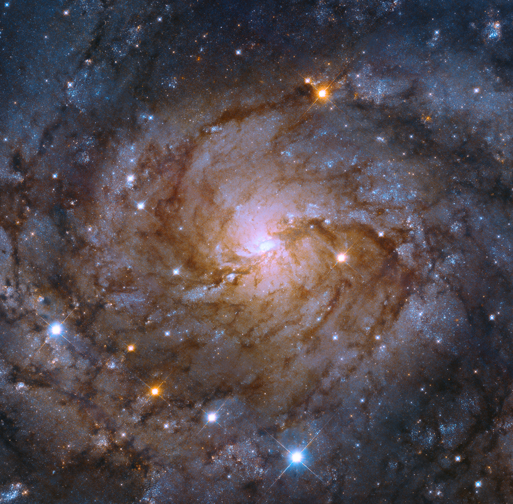 Галактика IC 342 