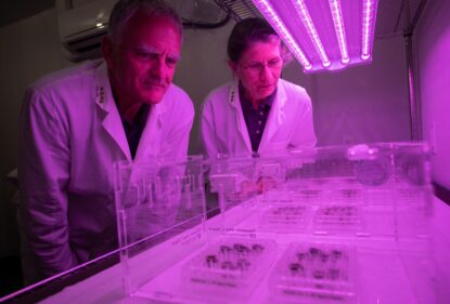 Ученые Роб Ферл и Анна-Лиза Пол смотрят на посаженные в лунный грунт семена