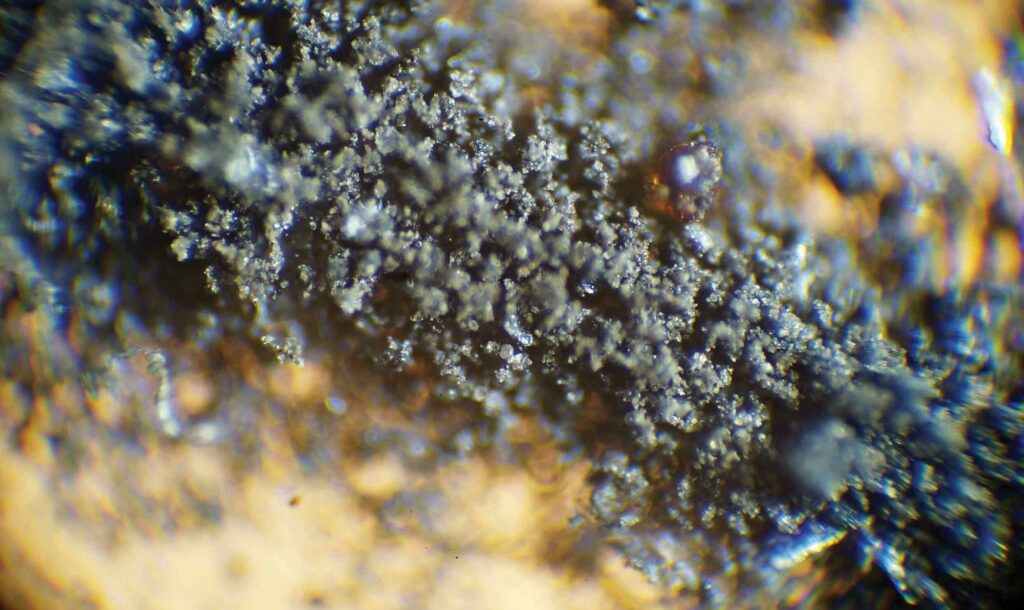Образцы лунной пыли под микроскопом