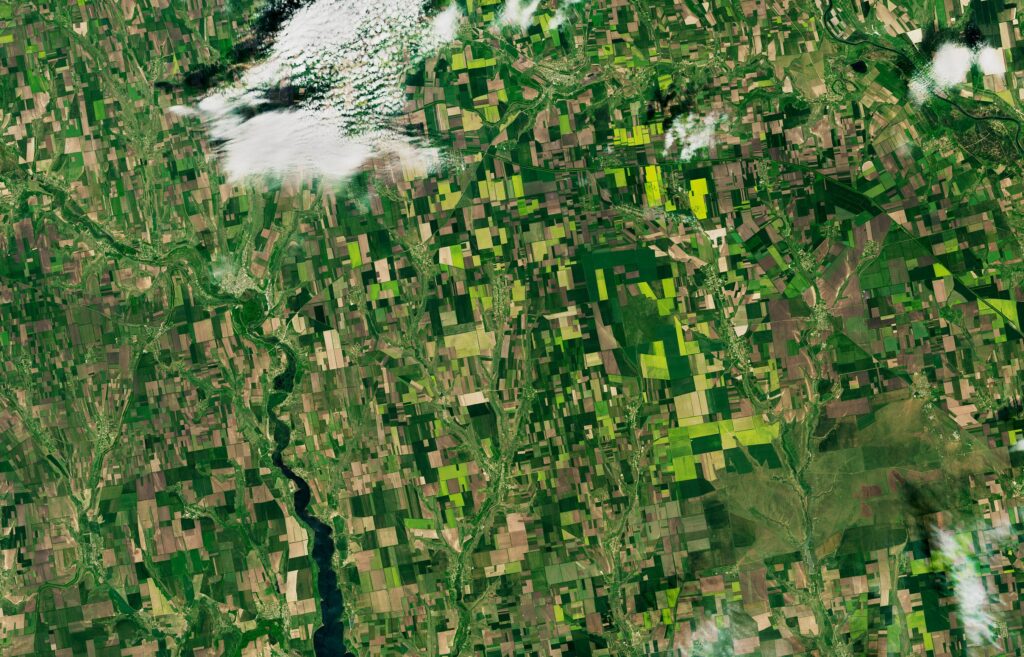 Вид на украинский поля и украинское зерно со спутника