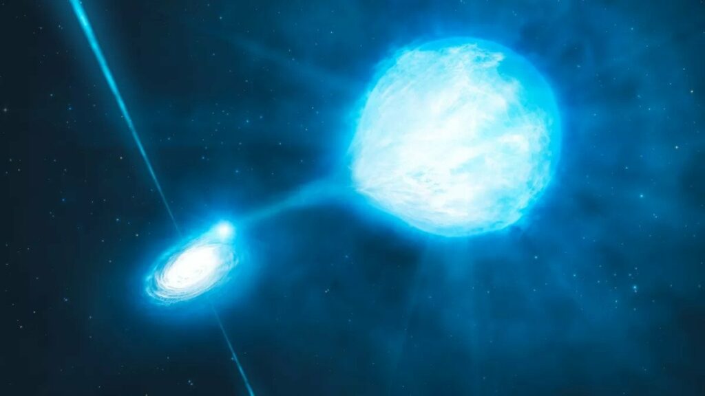 Рентгеновские двойные звезды, образующиеся из массивных пар