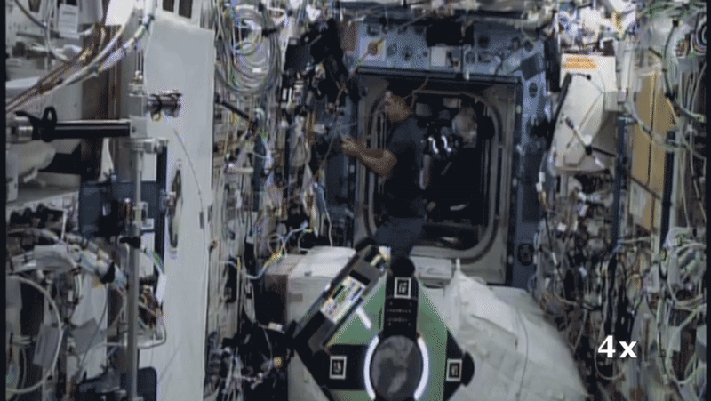 Queen и Bumble работают вместе с астронавтами на борту МКС