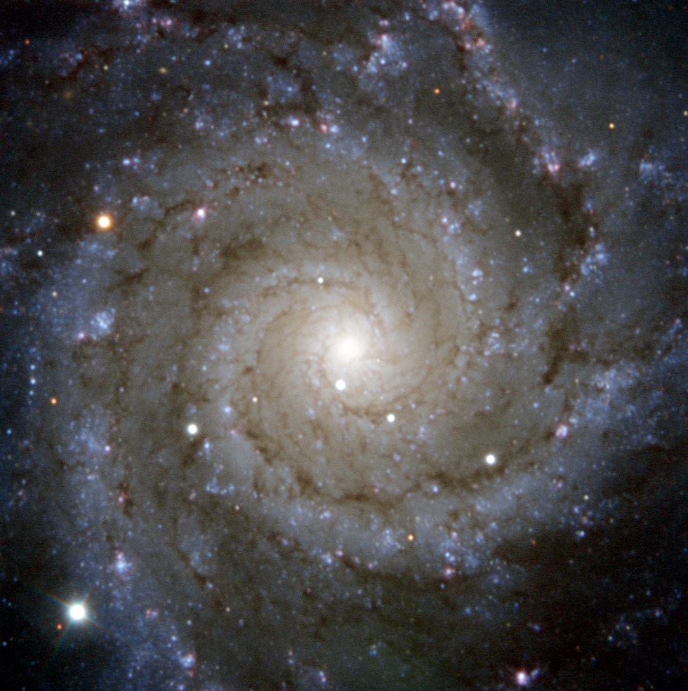 Снимок галактики M74