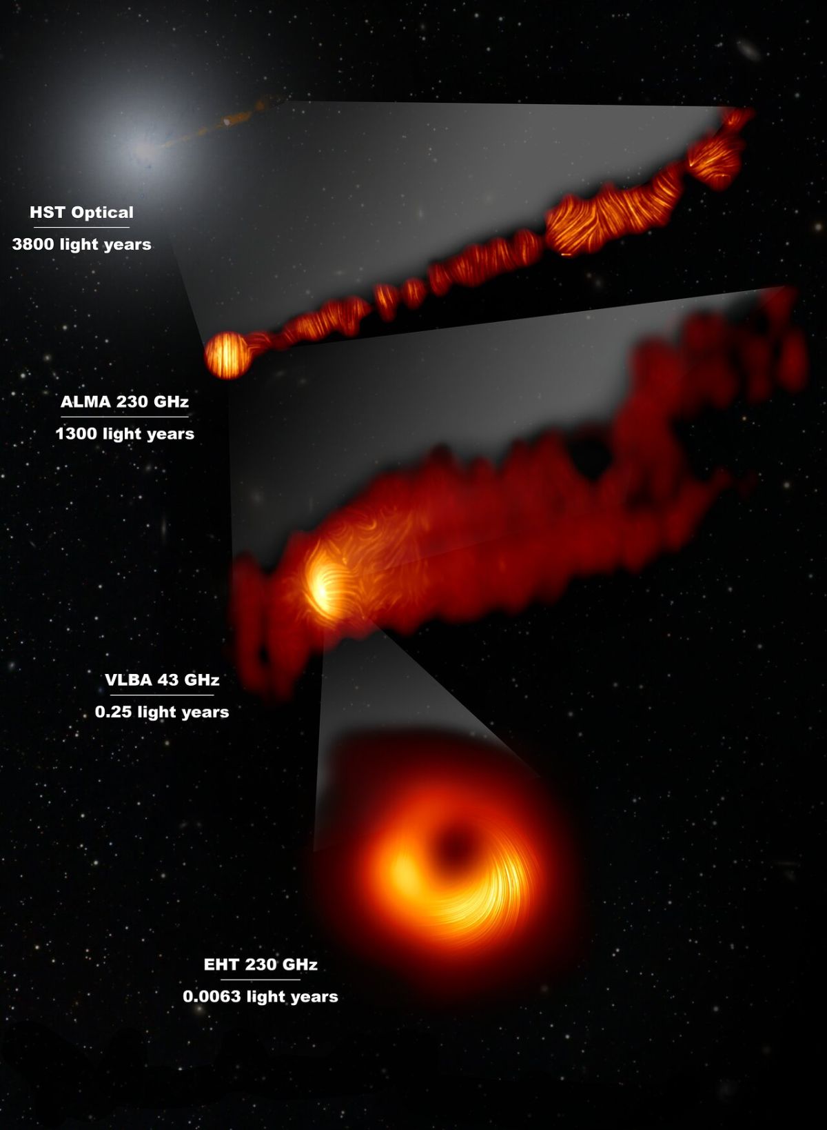 Инфографика, показывающая, как изображение сверхмассивной черной дыры в M87*