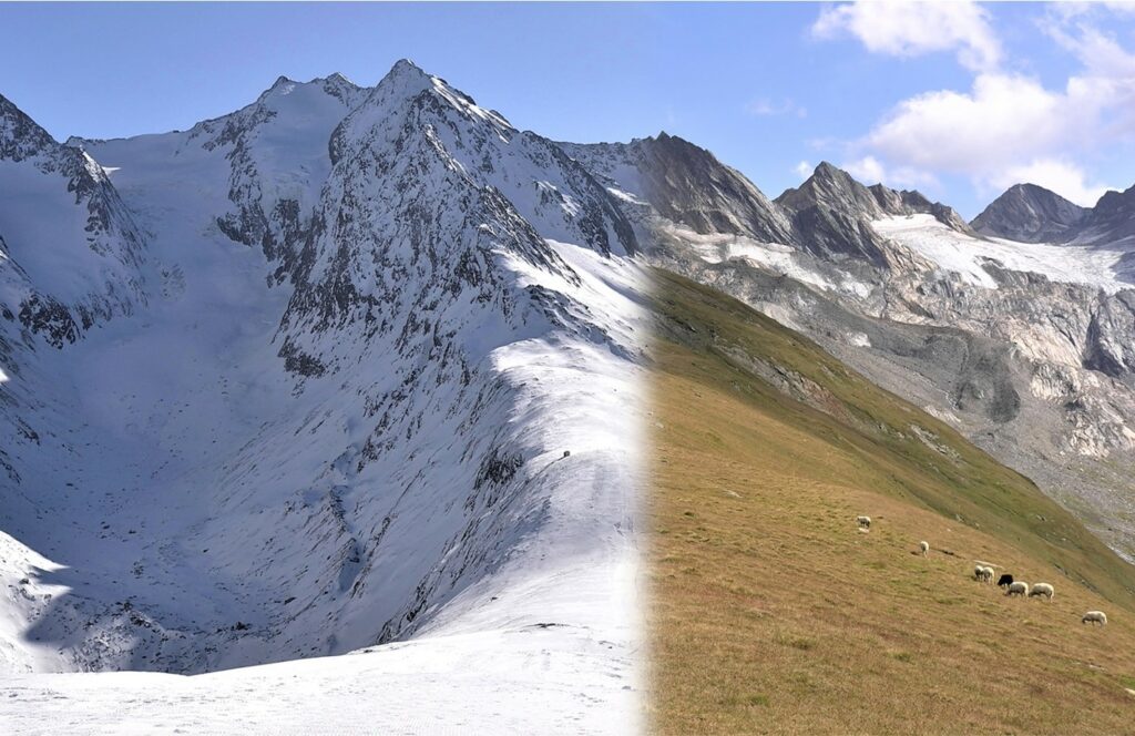 За позеленнінням Альп може слідувати повна втрата рослинності