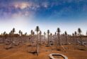 Вскоре в Западной Австралии будет установлено более 130 тысяч еловых антенн