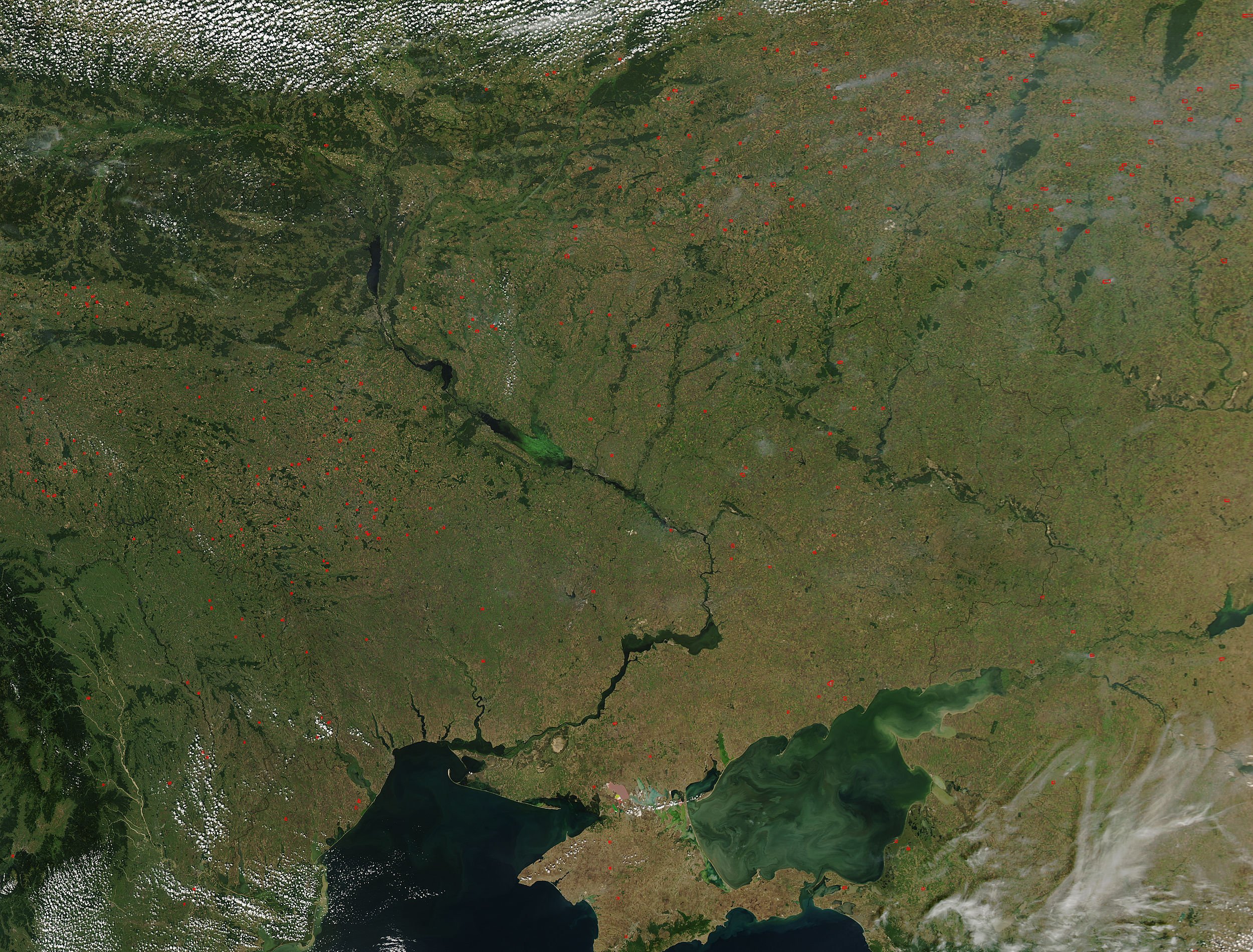 Зернові прориви помітили з космосу: Україна під час війни зібрала успішний урожай
