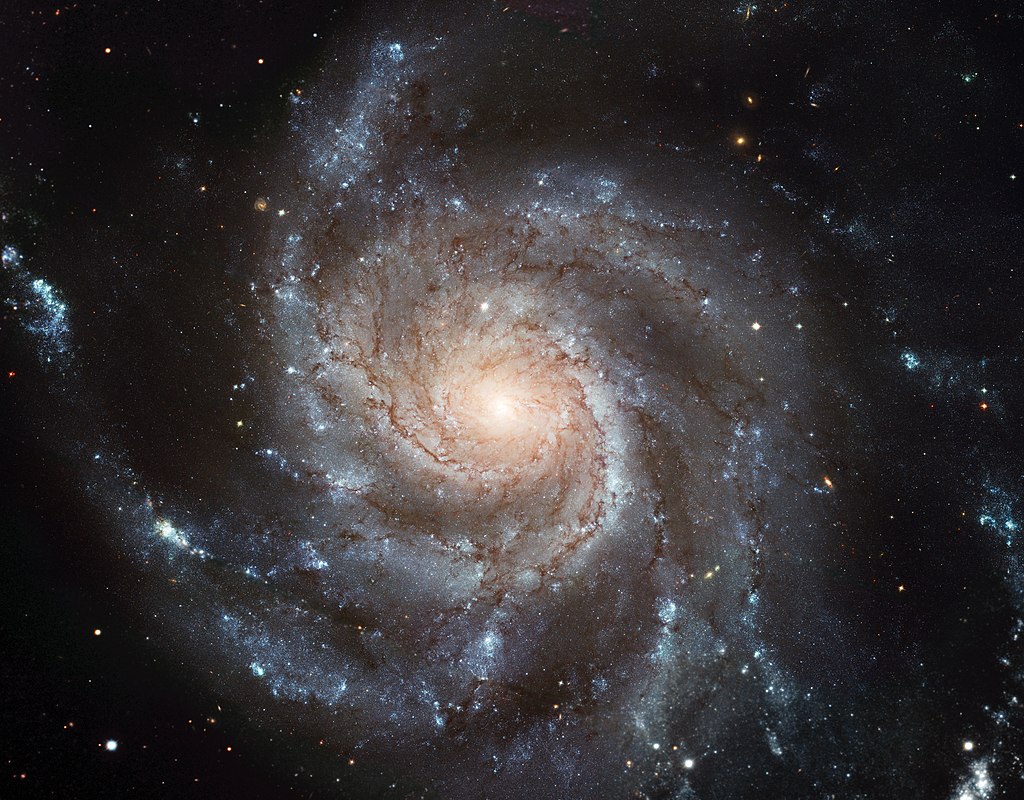 Галактика Цівочне колесо