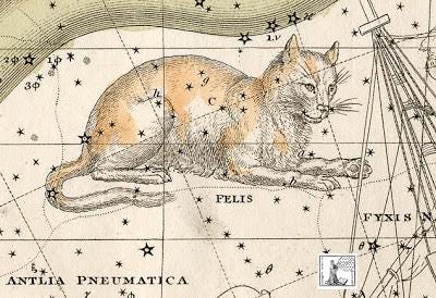 Созвездие кошки в атласе Александра Джемисона