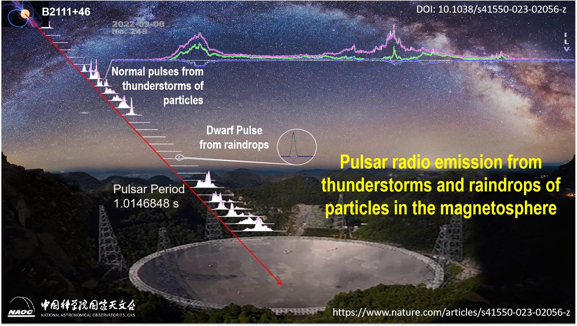 Dwarf pulses are found in the old pulsar