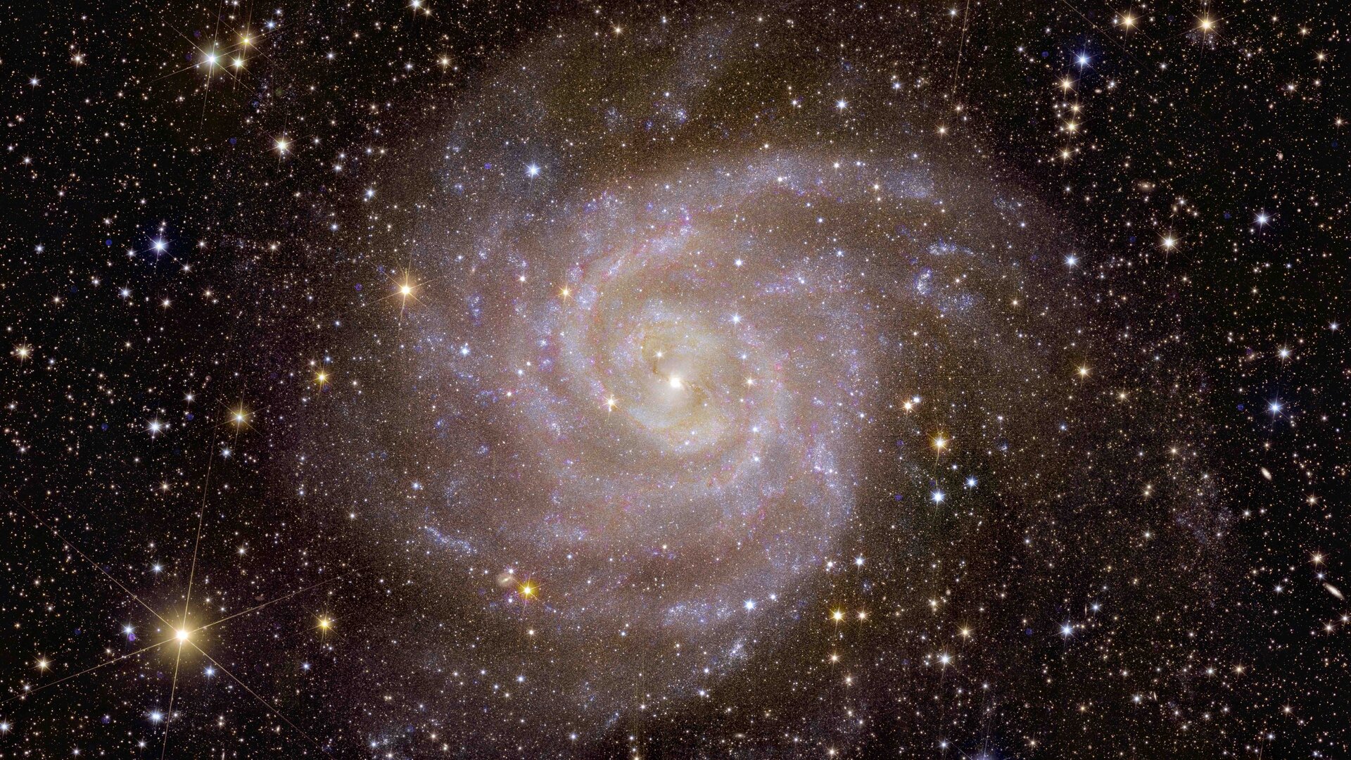 https://universemagazine.com/wp-content/uploads/2023/11/euclid_s_view_of_spiral_galaxy_ic_342_pillars.jpg