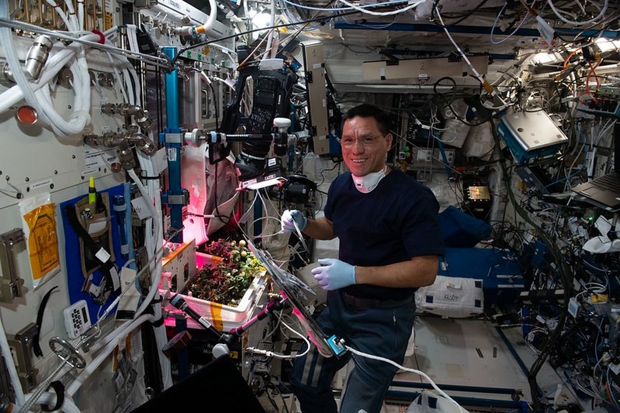 Funny find: The tomato was considered lost on the ISS for eight months