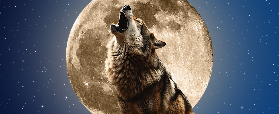 The Wolf Full Moon on January 25: What is it and where did it come from?