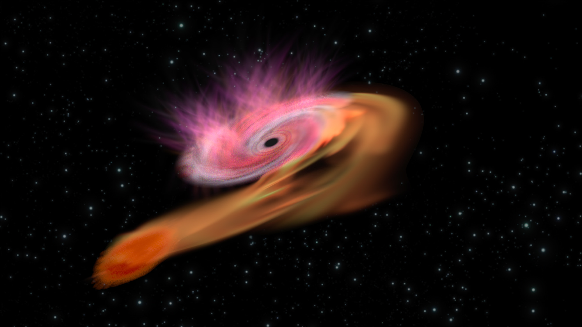 Astronomers observe the nearest tidal destruction of a star