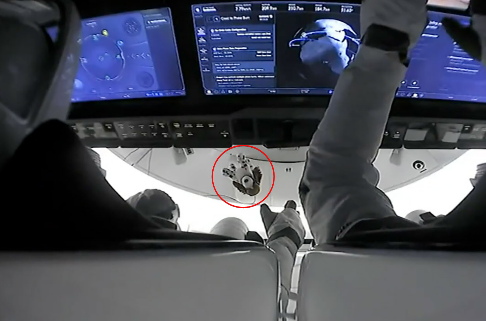 Астронавтов Crew-8 в космосе сопровождала игрушечная собачка: видео