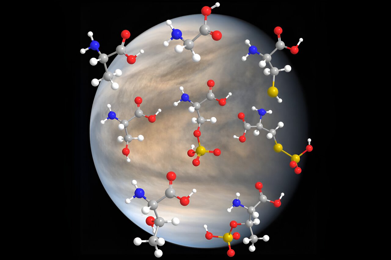 Амінокислоти залишаються стабільними у хмарах Венери