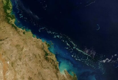 Супутник побачив масову загибель коралових рифів