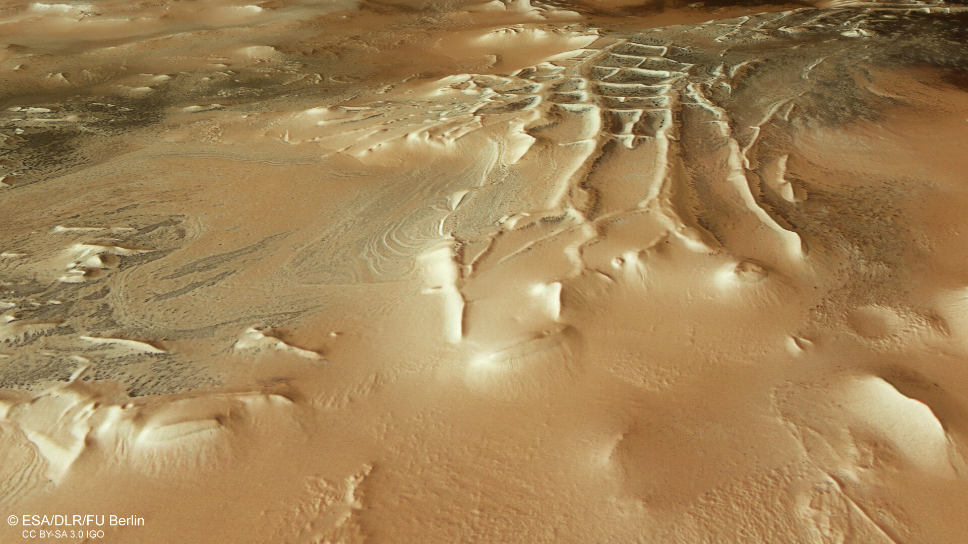 Spiders on Mars: Satellites photographed the “inhabitants” of Inca City