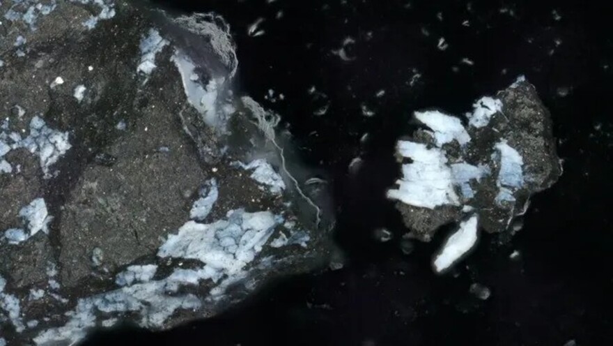 Зразки з астероїда Бенну