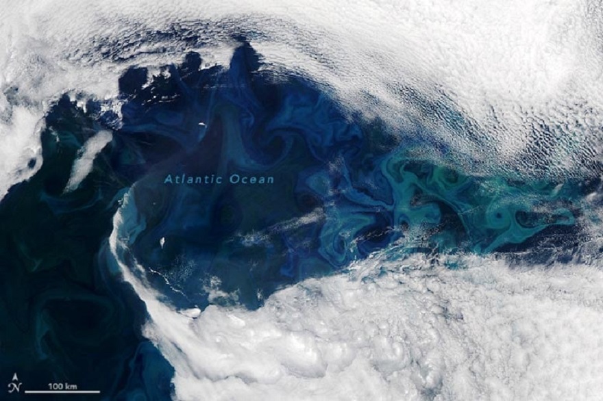 Satellite observes an algae bloom near Greenland