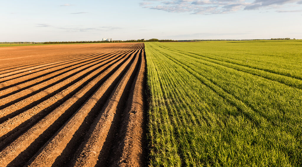 Изменения климата и сельское хозяйство составляют единый комплекс проблем