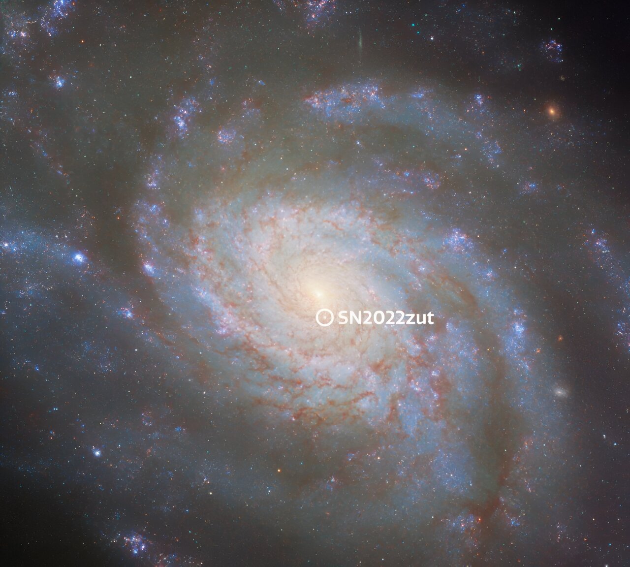 Hubble Space Telescope Measures Distance to Supernova