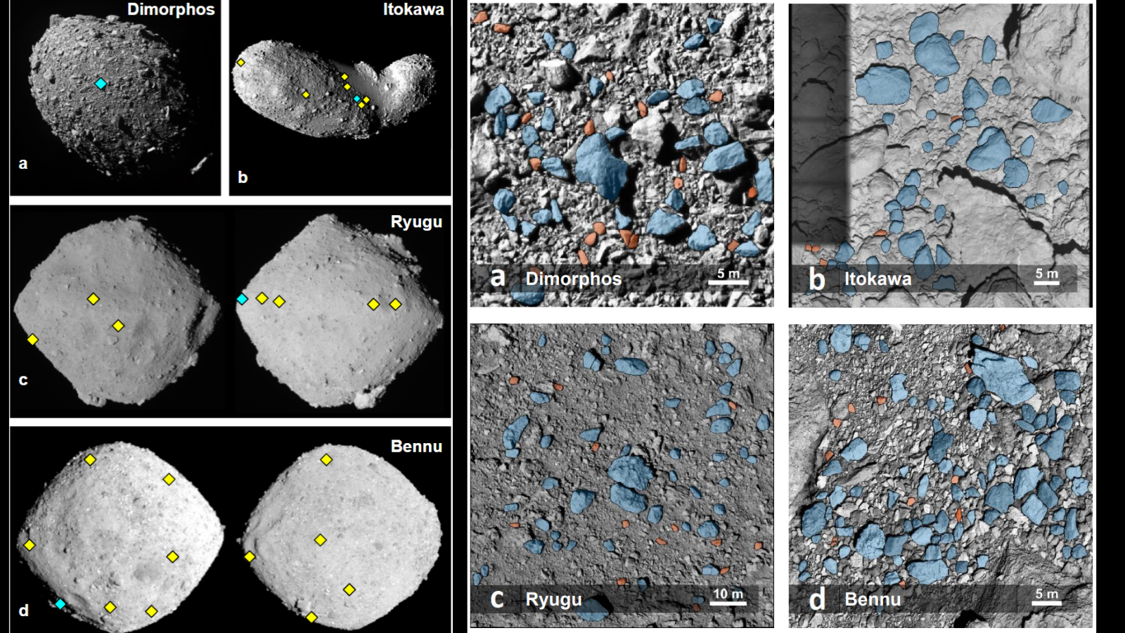 Dimorphos asteroid's age surprising scientists