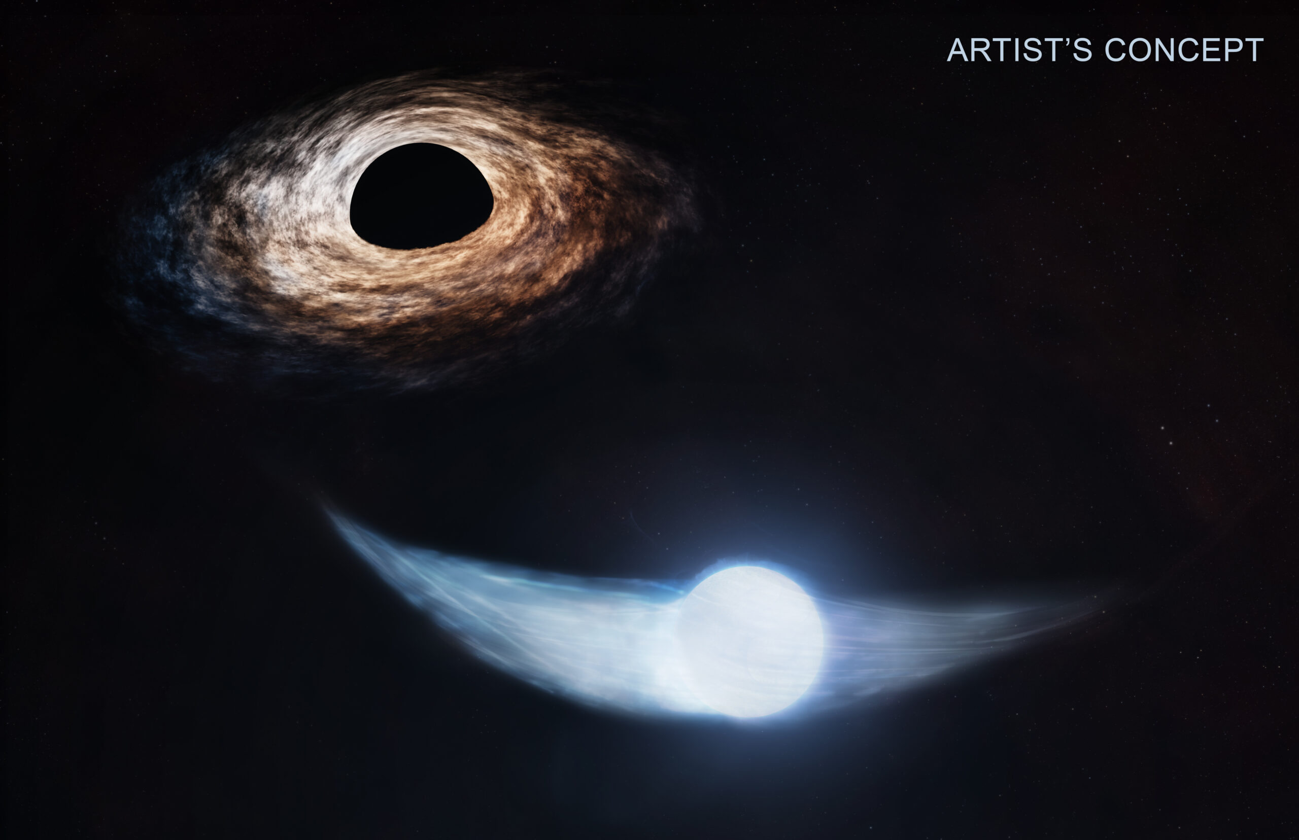 Meals on schedule: Astronomers make a black hole’s “lunch” time table