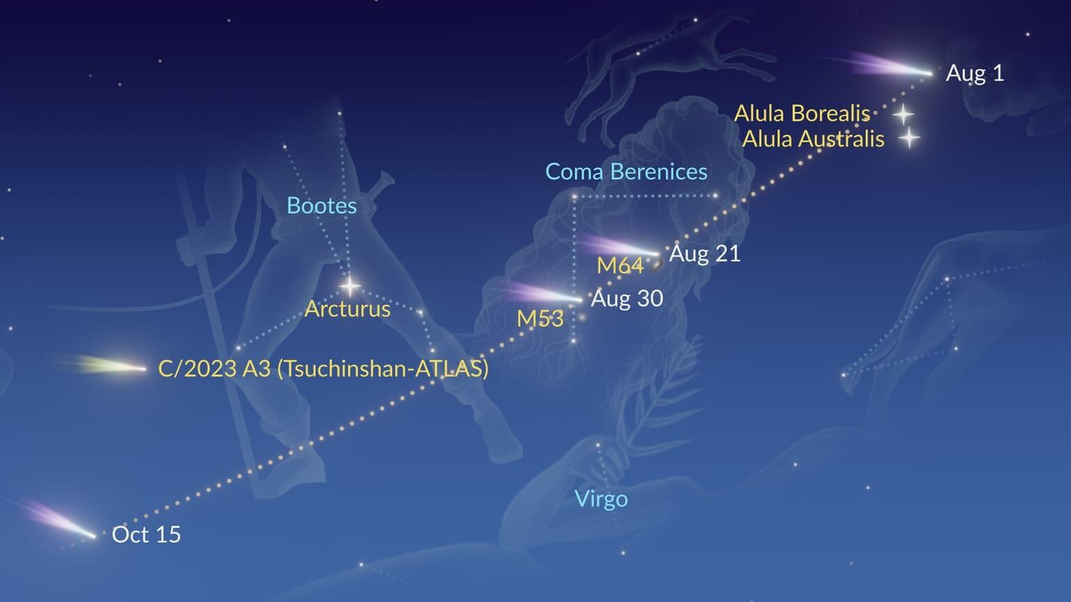 Comet Olbers will pass through a star cluster in the constellation Coma Berenices