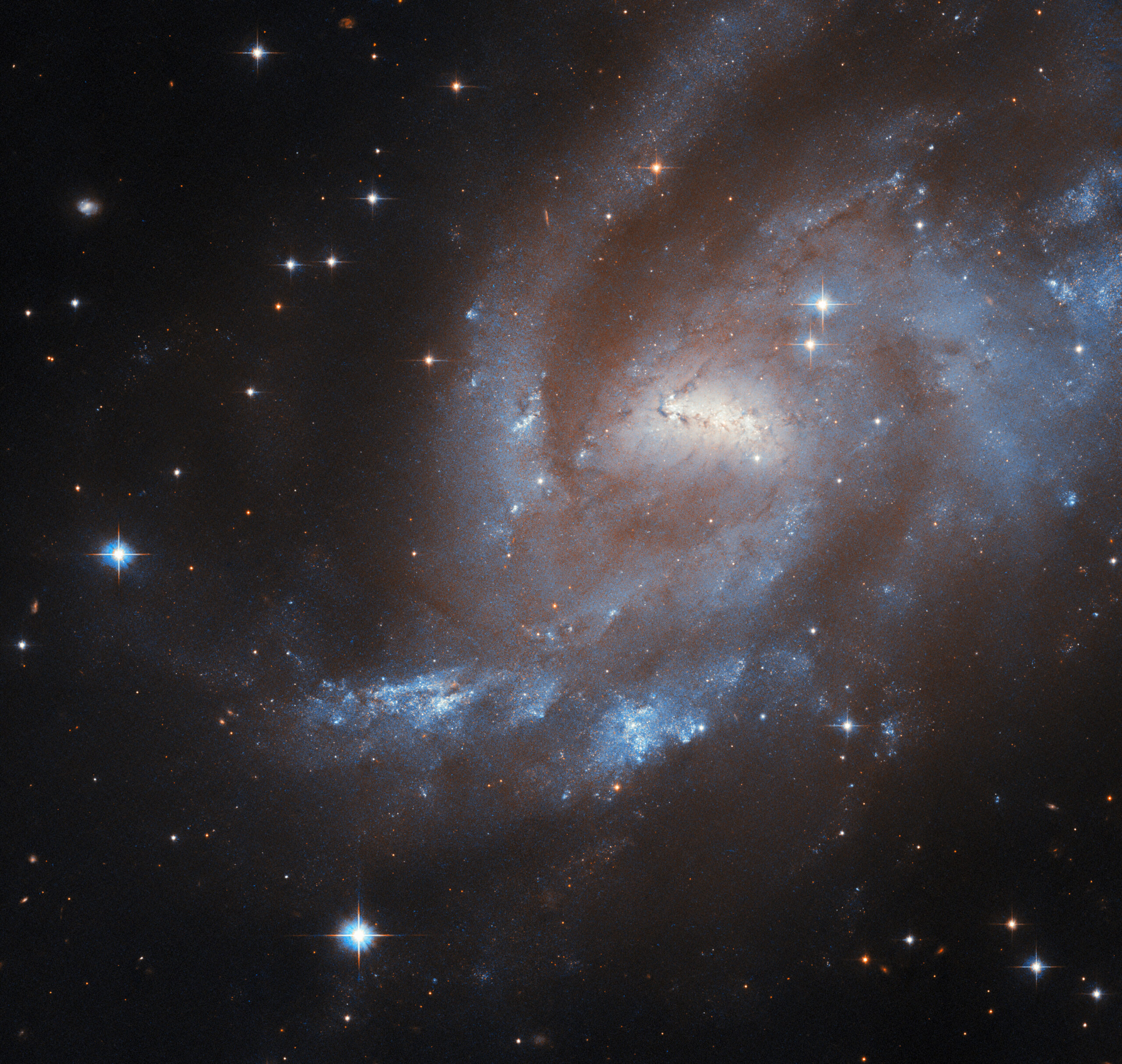 Contemporary of the last dinosaurs: Hubble photographs a galaxy with supernovae