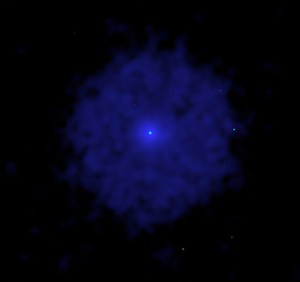 SN 1181