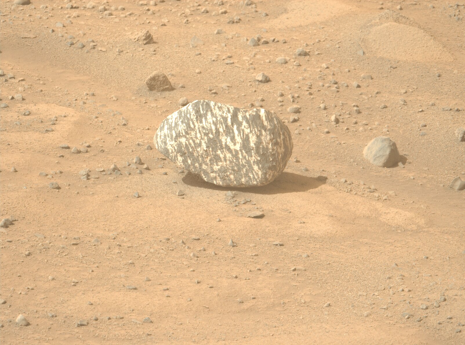 Perseverance Mars rover finds an unusual striped rock