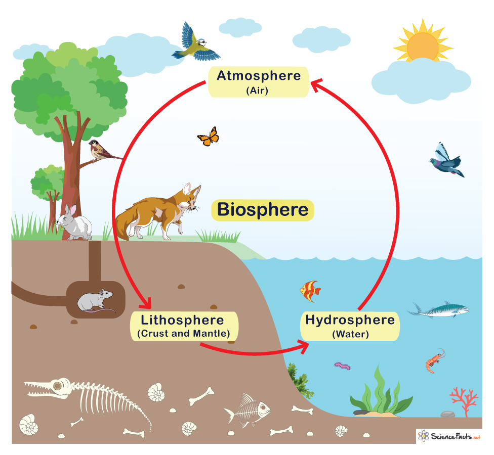 Biosphere