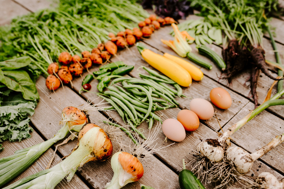 Врожай у Північній півкулі дійсно збирають у вересні