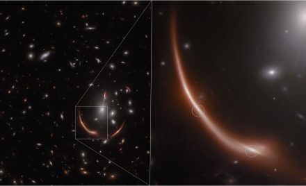 MACS J0138.0-2155