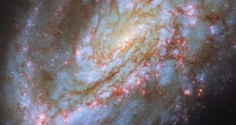 Асиметрична спіральна галактика NGC 4654 з яскравим переднім рукавом і майже порожнім протилежним боком диска на тлі темного космічного простору.
