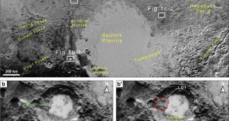 Зсуви ґрунту
