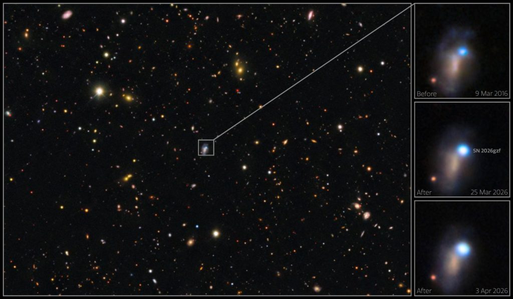 SN 2026gzf