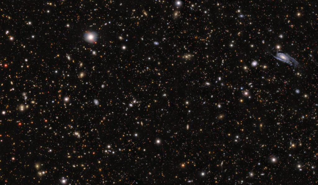 SN 2026gzf