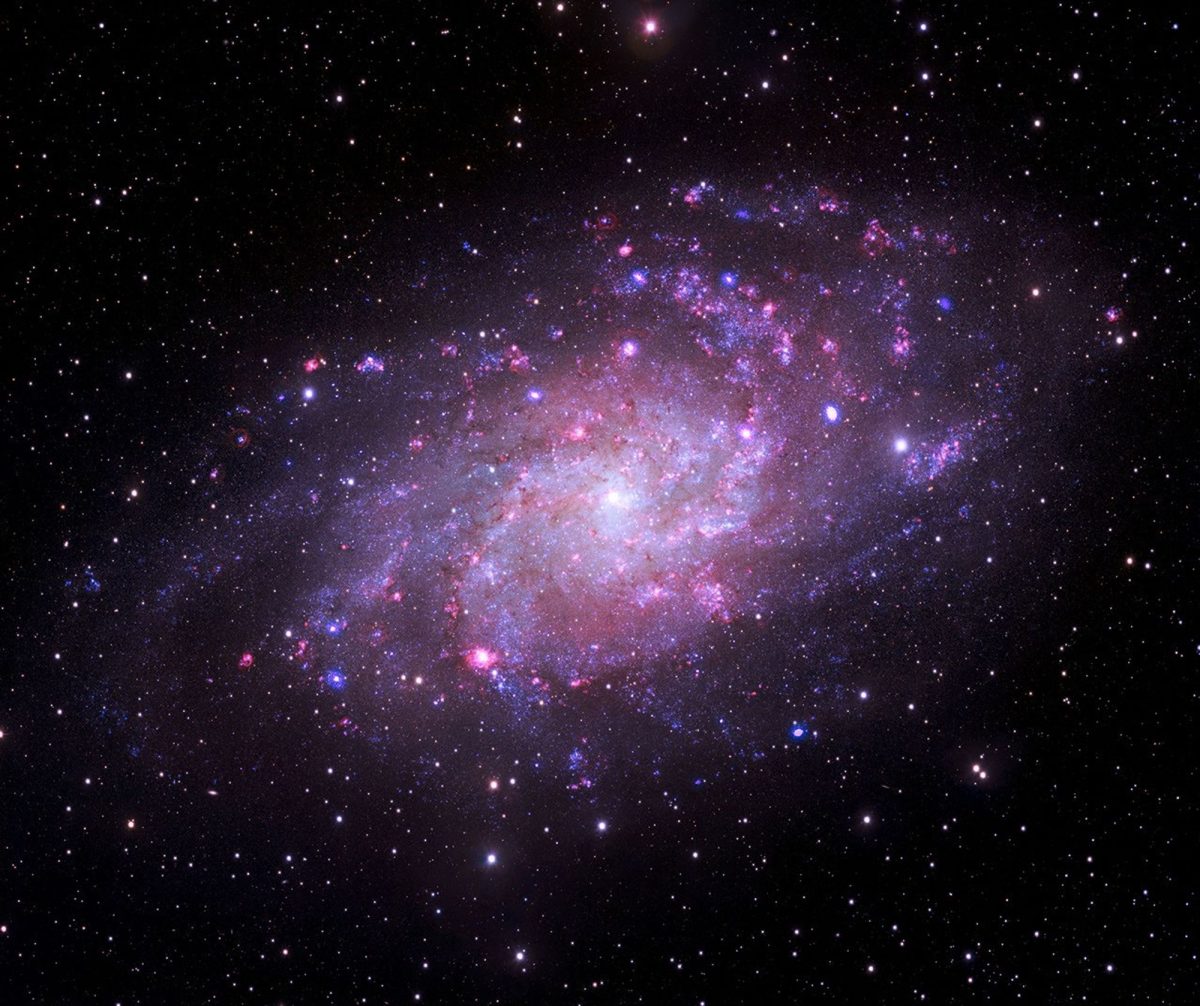 M33