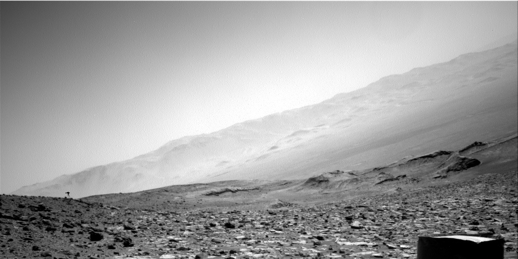 Curiosity