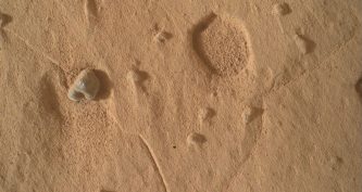 Curiosity
